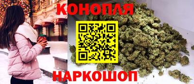 крисы Севастополь