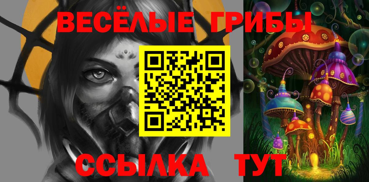 Галлюциногенные грибы мицелий Санкт-Петербург